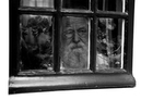 The Netherlands, Amersfoort, June 2006.
Old age 1; “closed”.

